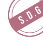 SDG Logo